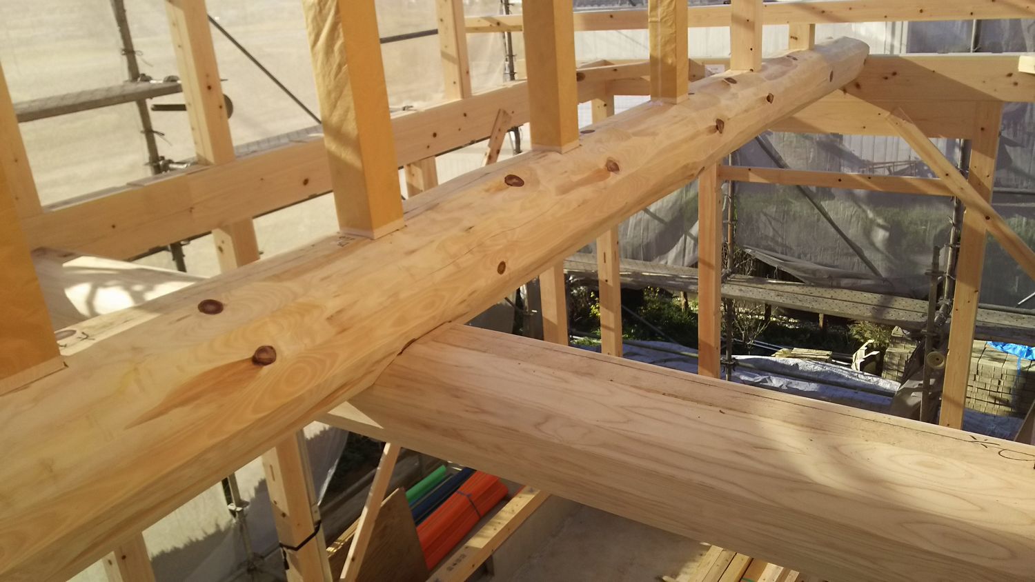 碧南市坂口町の家 奥村建築